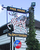 Spotted Dog