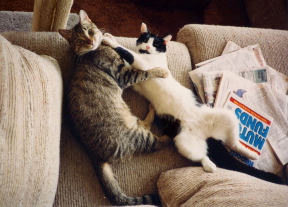 Alex and Malcolm