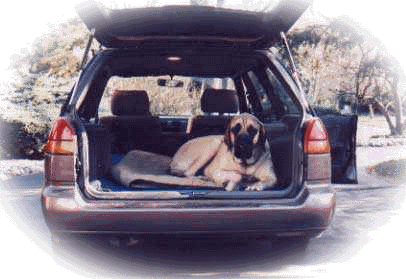 Soter in car